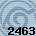 Equipe 2463