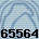65564