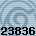 23836