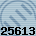 25613