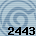 Equipe 2443
