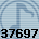 Equipe 37697
