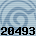 20493