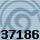 Equipe 37186