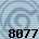 Equipe 8077