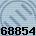 68854