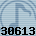 30613