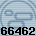 66462