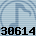 30614