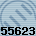 55623