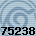75238