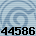 44586