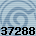 37288