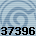 Equipe 37396