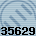 35629