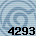 4293