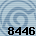 8446