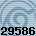 Equipe 29586