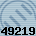 49219