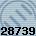 28739