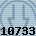 10733