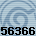 56366
