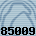 85009