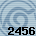 Equipe 2456