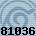 81036