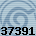 Equipe 37391