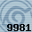 Equipe 9981