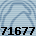 71677