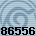 86556