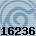 16236