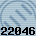 22046
