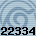 22334
