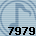 7979
