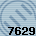 7629