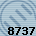 Equipe 8737