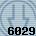 6029