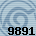 Equipe 9891