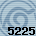 5225