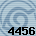Equipe 4456