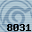 8031