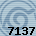 Equipe 7137