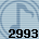 Equipe 2993