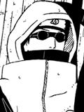 Shino Aburame