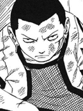 Shikamaru Nara