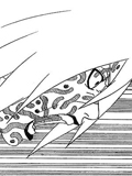 Sakon