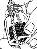 Chapitre 184 de Naruto